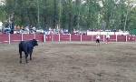 Plaza de Toros de Val de San Lorenzo